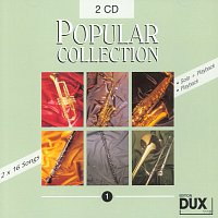 POPULAR COLLECTION 1 - 2x CD akompaniament