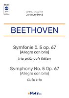 Beethoven: Symphony No.5 Op.67 / easy flute trio