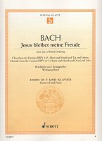 Bach: Jesus bleibet meine Freude (Jesu, Joy of Man's Desiring) BWV 147 / lesní roh a klavír